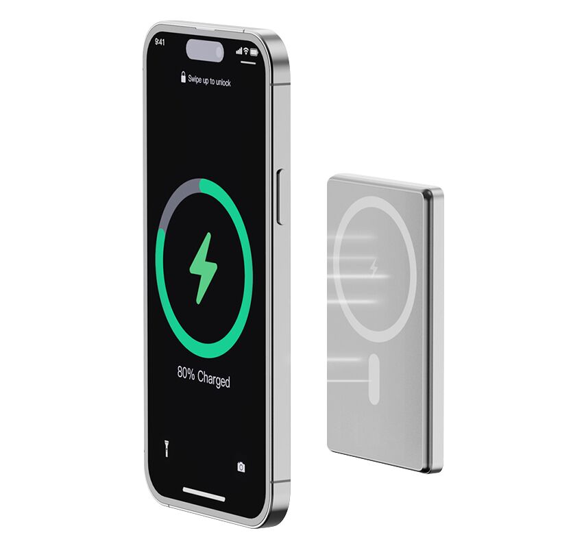 Універсальний зарядний пристрій T-8051