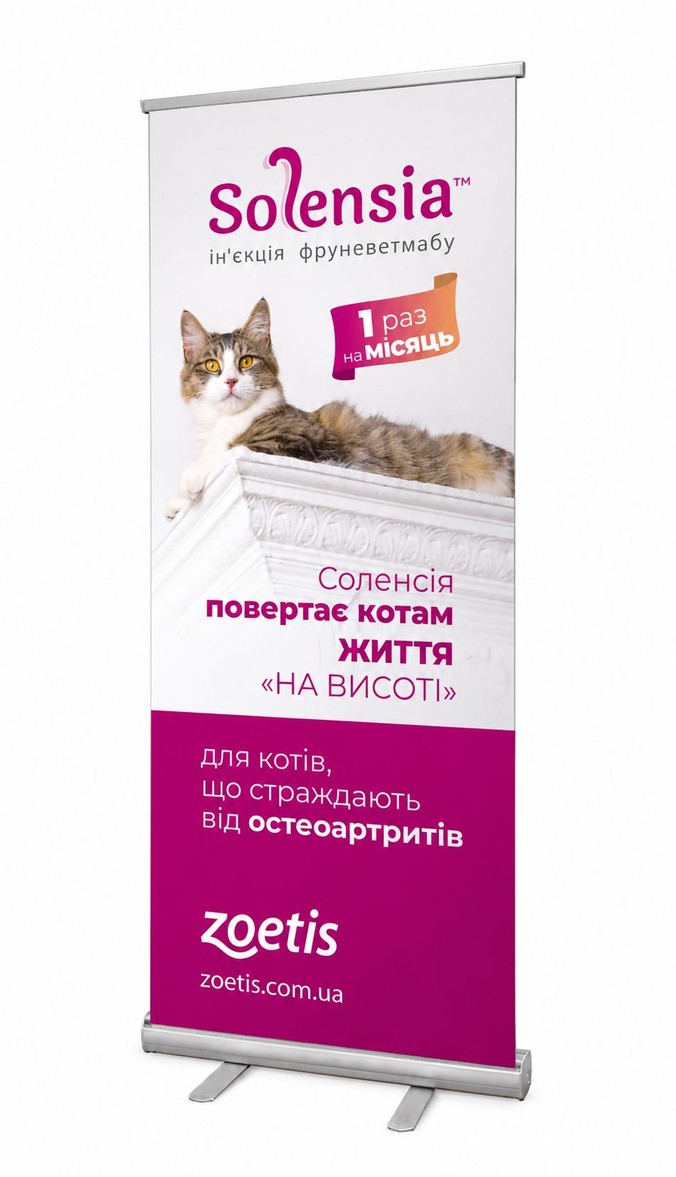 Рол-апи Стандарт